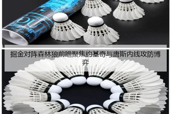 掘金对阵森林狼前瞻聚焦约基奇与唐斯内线攻防博弈 - kaiyun